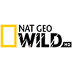 geo_wild_hd-1