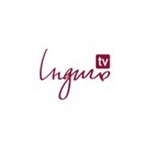 indigo_tv_channel_ua
