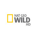nat-geo-wild_hd